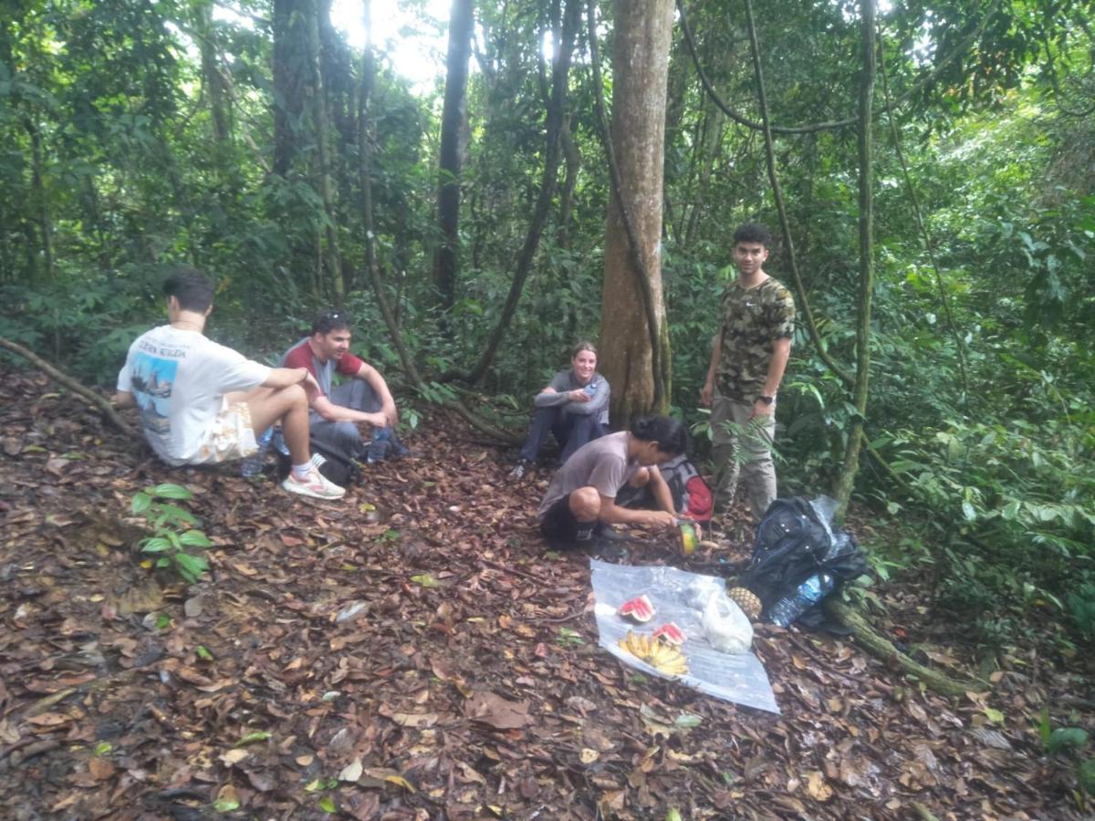 Junia 3* Bukit Lawang