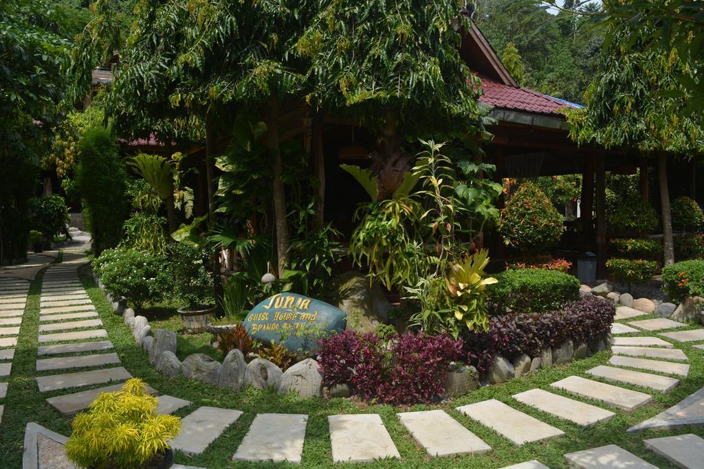 Junia Bukit Lawang